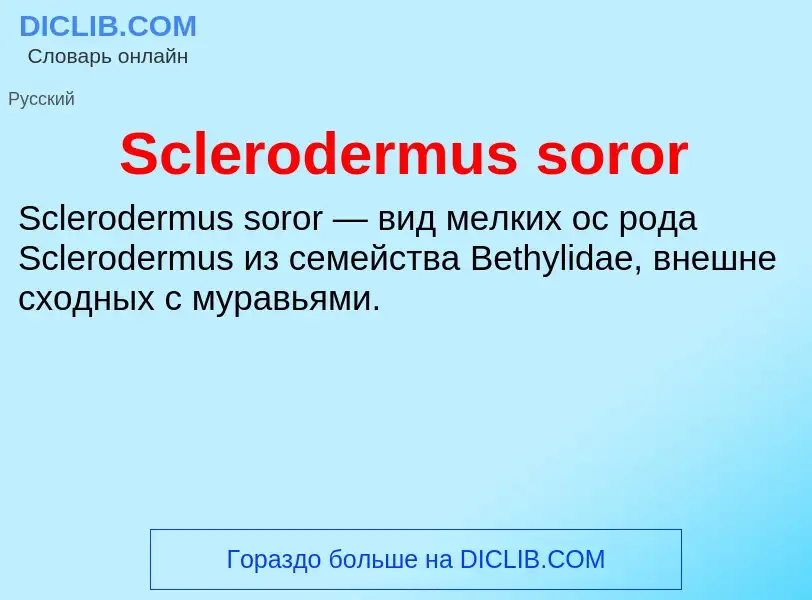 ¿Qué es Sclerodermus soror? - significado y definición