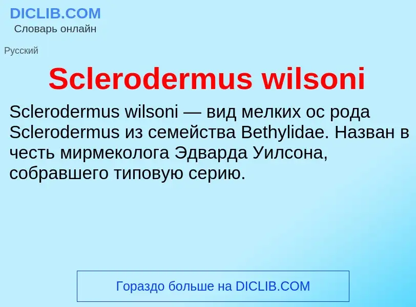 ¿Qué es Sclerodermus wilsoni? - significado y definición