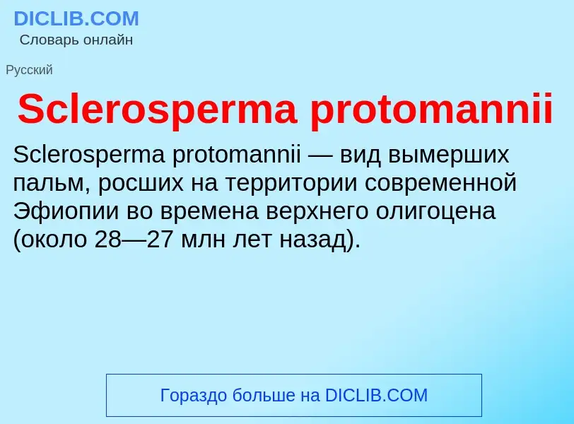 ¿Qué es Sclerosperma protomannii? - significado y definición