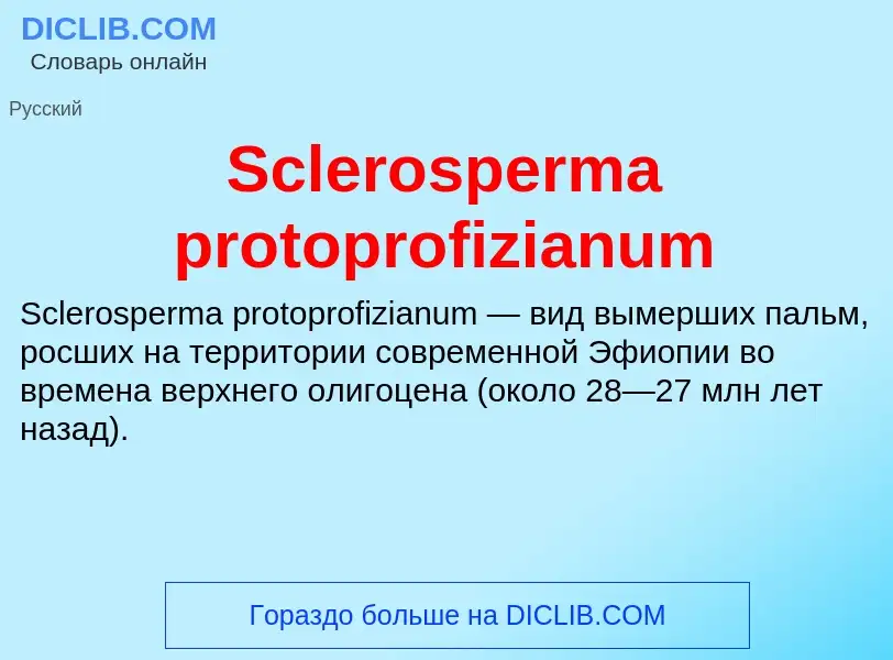 ¿Qué es Sclerosperma protoprofizianum? - significado y definición