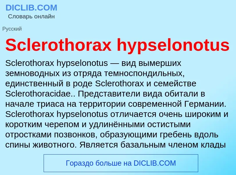 ¿Qué es Sclerothorax hypselonotus? - significado y definición