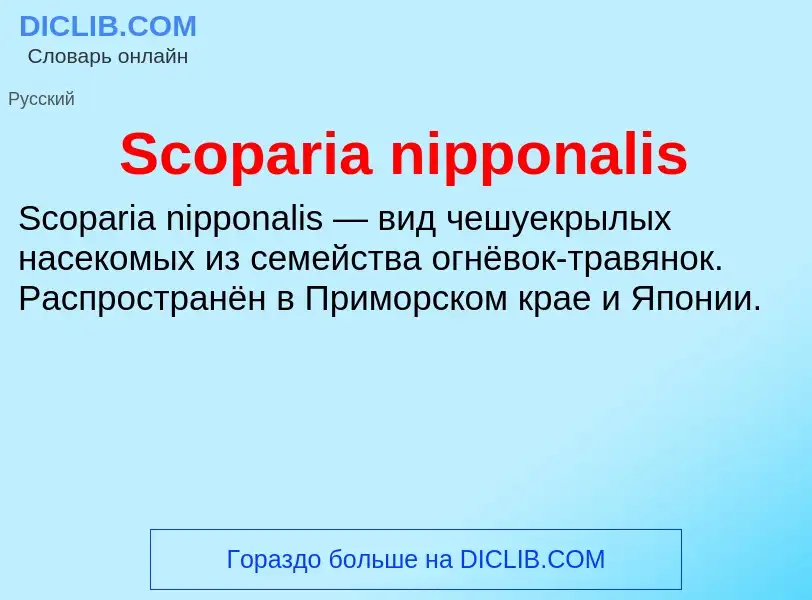 ¿Qué es Scoparia nipponalis? - significado y definición