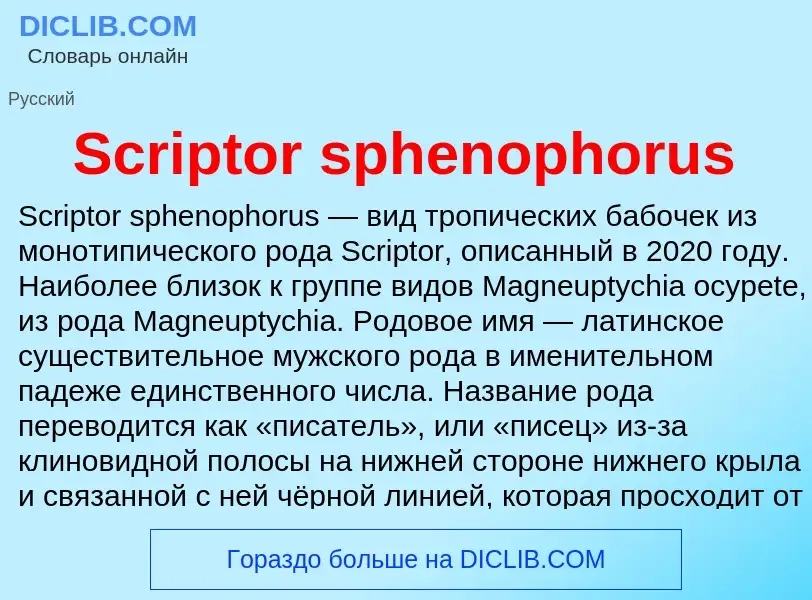 ¿Qué es Scriptor sphenophorus? - significado y definición