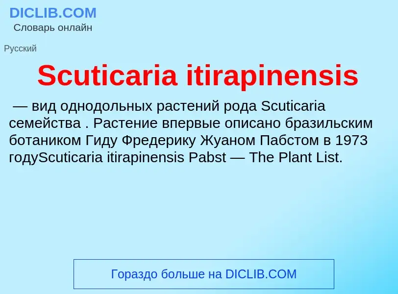 ¿Qué es Scuticaria itirapinensis? - significado y definición