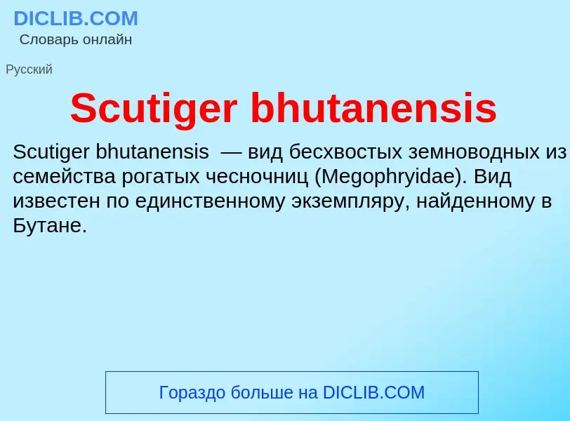 ¿Qué es Scutiger bhutanensis? - significado y definición