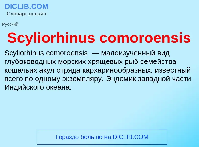 ¿Qué es Scyliorhinus comoroensis? - significado y definición