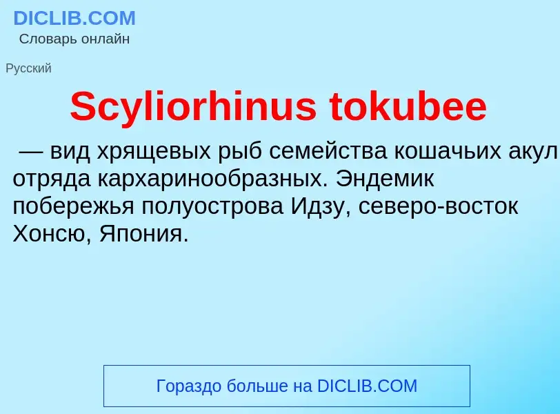 ¿Qué es Scyliorhinus tokubee? - significado y definición