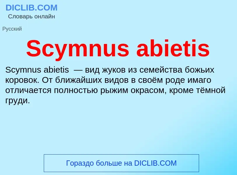 ¿Qué es Scymnus abietis? - significado y definición