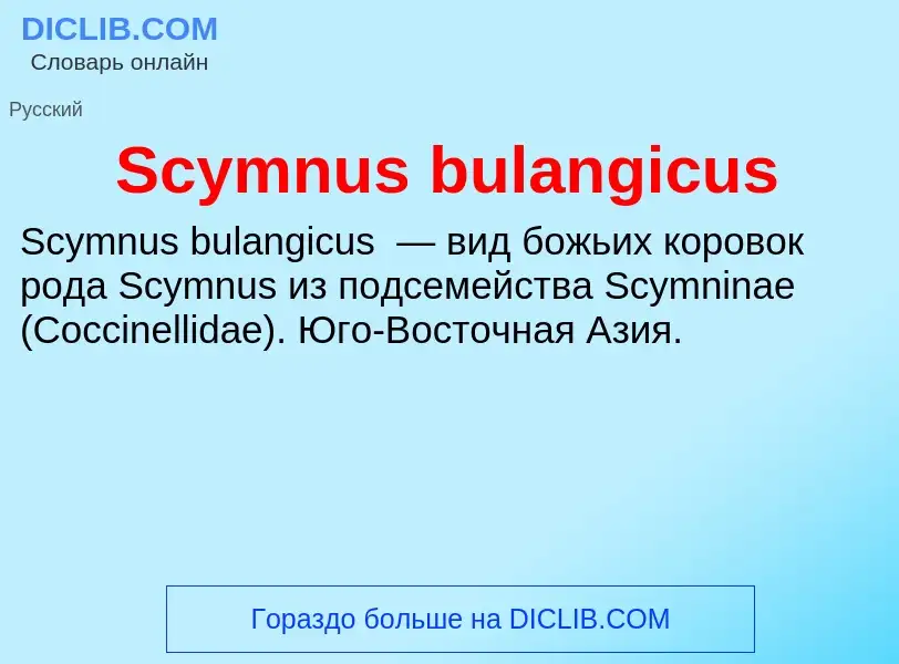 ¿Qué es Scymnus bulangicus? - significado y definición