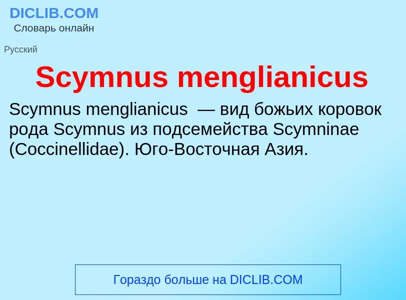 ¿Qué es Scymnus menglianicus? - significado y definición