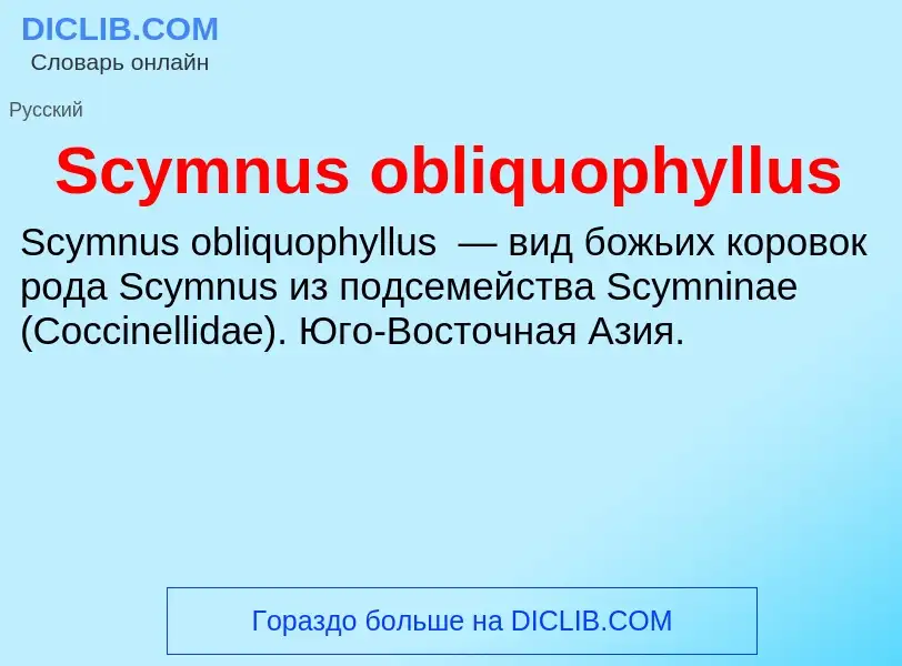 ¿Qué es Scymnus obliquophyllus? - significado y definición