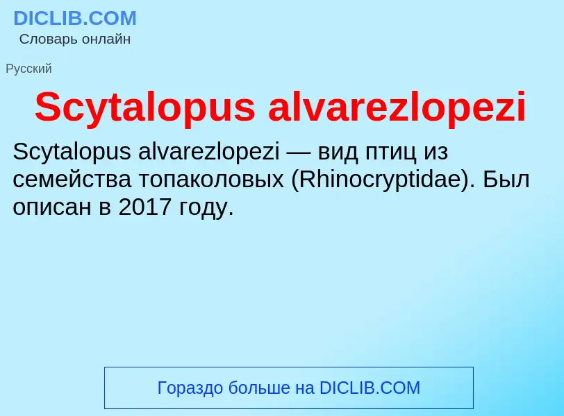 ¿Qué es Scytalopus alvarezlopezi? - significado y definición