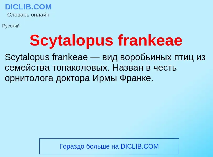 ¿Qué es Scytalopus frankeae? - significado y definición