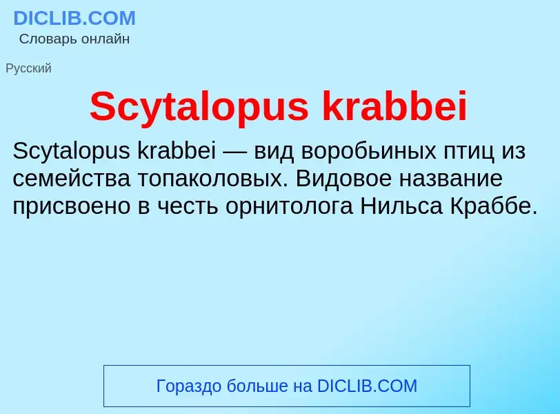 ¿Qué es Scytalopus krabbei? - significado y definición