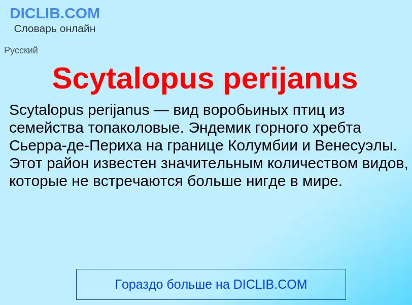 Che cos'è Scytalopus perijanus - definizione