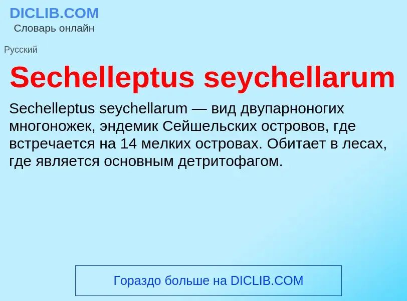 ¿Qué es Sechelleptus seychellarum? - significado y definición