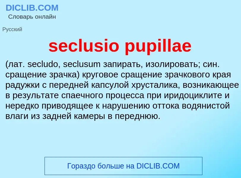 Что такое seclusio pupillae  - определение