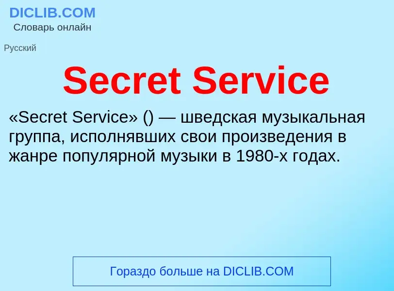 What is Secret Service - meaning and definition