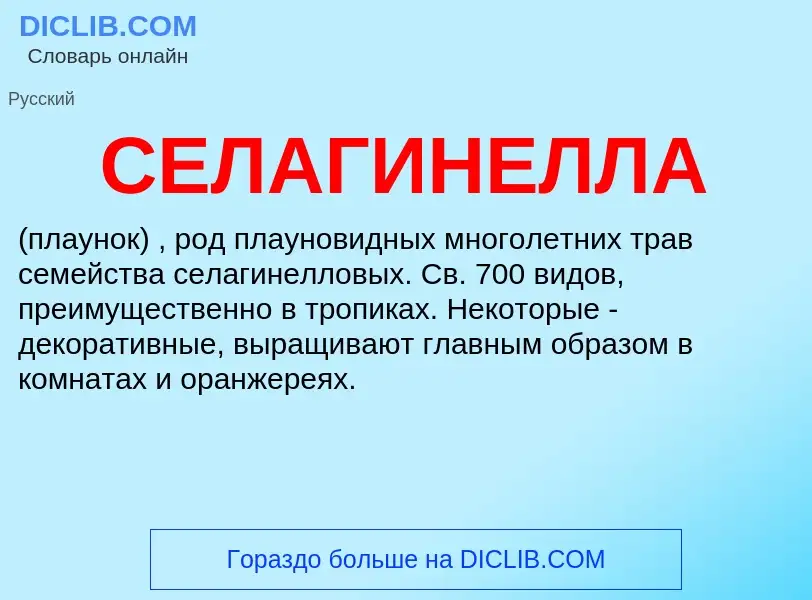 What is СЕЛАГИНЕЛЛА - meaning and definition