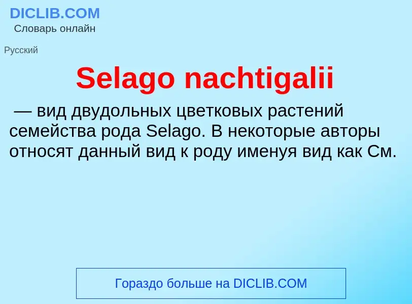 ¿Qué es Selago nachtigalii? - significado y definición