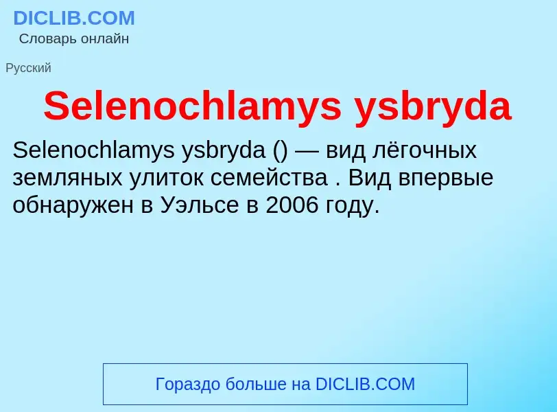 ¿Qué es Selenochlamys ysbryda? - significado y definición