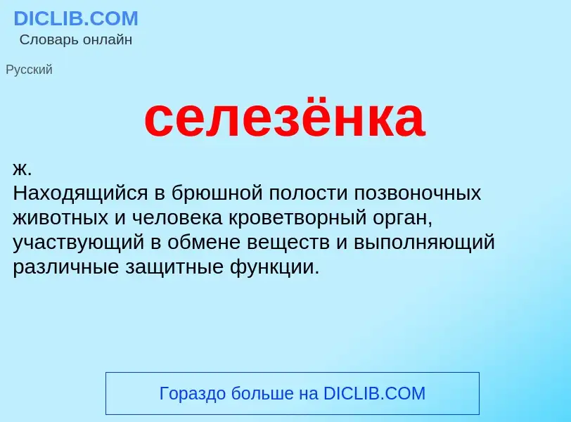 Wat is селезёнка - definition