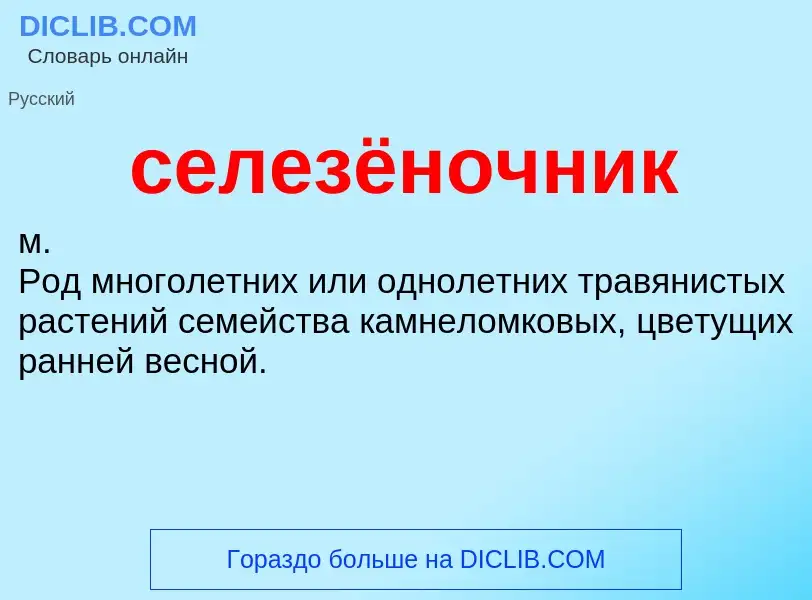 O que é селезёночник - definição, significado, conceito