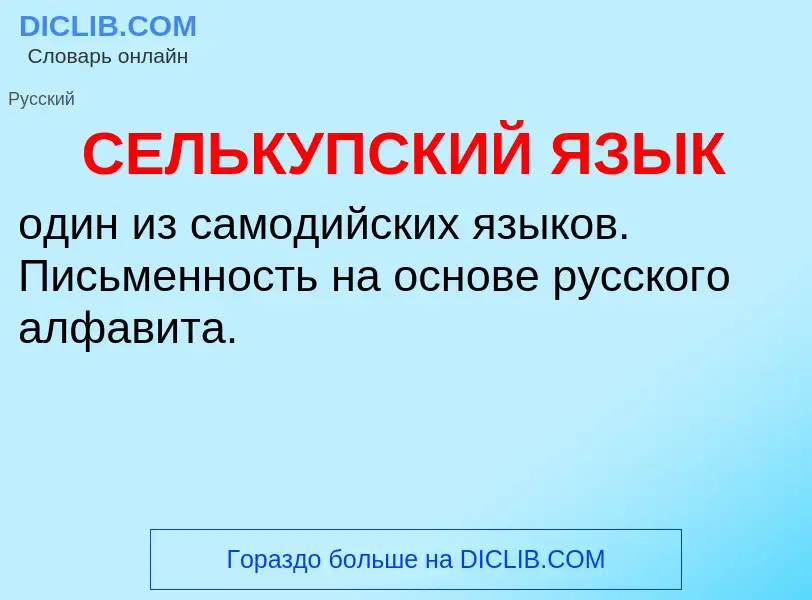 What is СЕЛЬКУПСКИЙ ЯЗЫК - definition