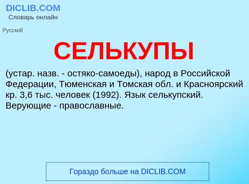 What is СЕЛЬКУПЫ - definition