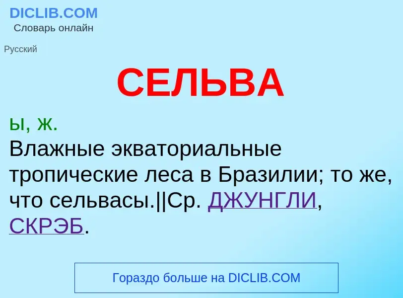 What is СЕЛЬВА - meaning and definition