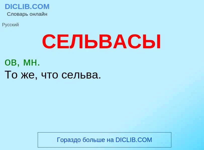 Τι είναι СЕЛЬВАСЫ - ορισμός