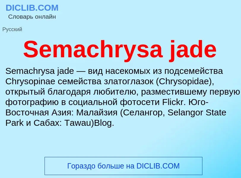 ¿Qué es Semachrysa jade? - significado y definición