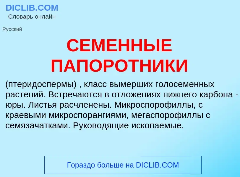 O que é СЕМЕННЫЕ ПАПОРОТНИКИ - definição, significado, conceito