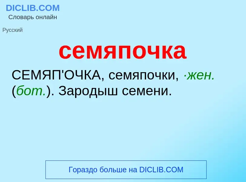 Was ist семяпочка - Definition