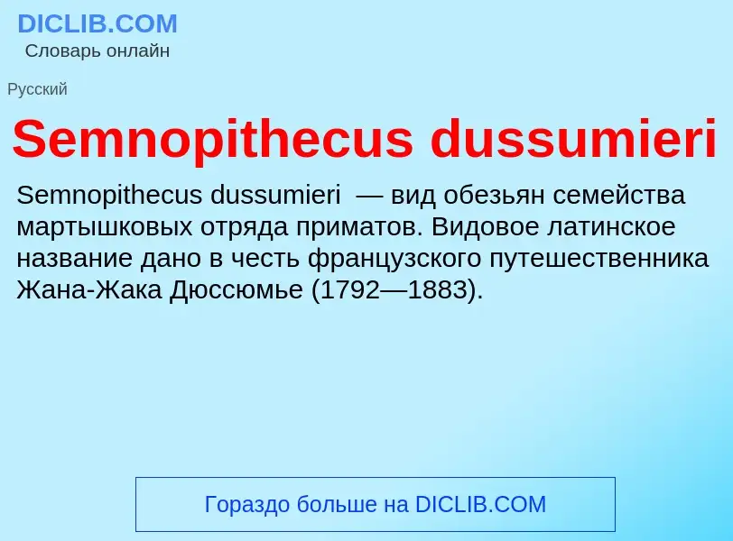 Che cos'è Semnopithecus dussumieri - definizione