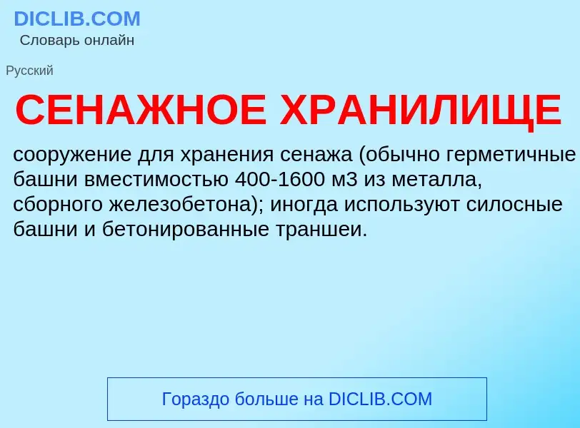 ¿Qué es СЕНАЖНОЕ ХРАНИЛИЩЕ? - significado y definición