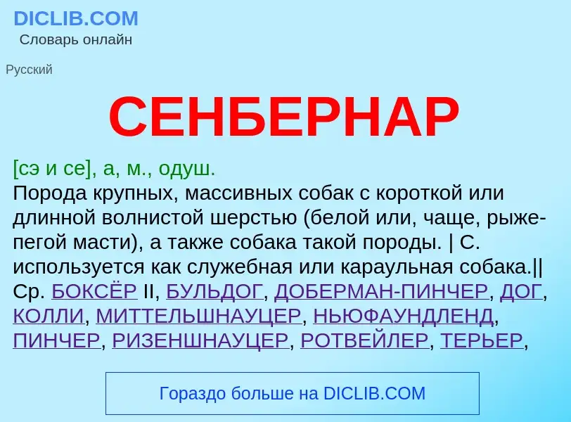 What is СЕНБЕРНАР - meaning and definition