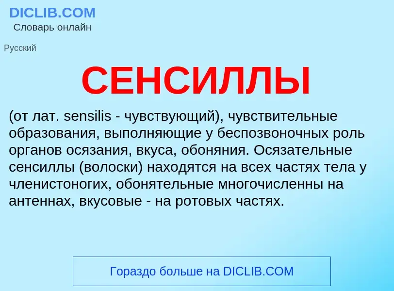 What is СЕНСИЛЛЫ - definition