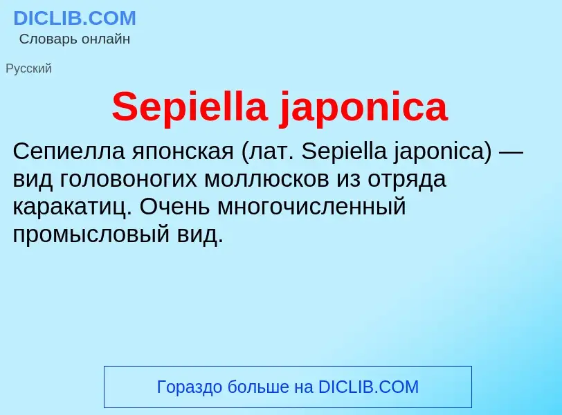 ¿Qué es Sepiella japonica? - significado y definición