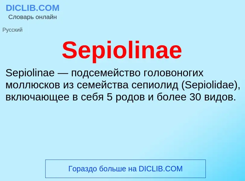 ¿Qué es Sepiolinae? - significado y definición