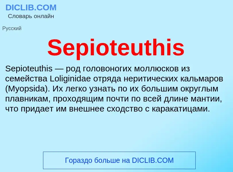 ¿Qué es Sepioteuthis? - significado y definición