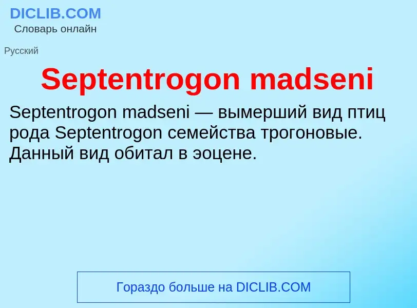 ¿Qué es Septentrogon madseni? - significado y definición