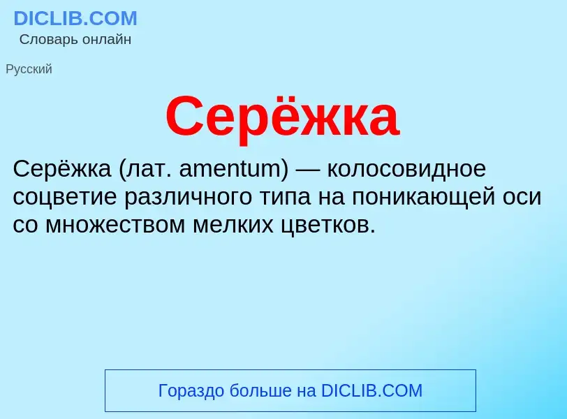 What is Серёжка - definition