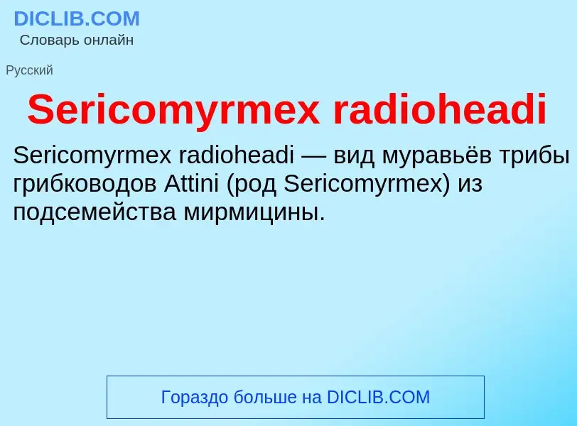 Che cos'è Sericomyrmex radioheadi - definizione