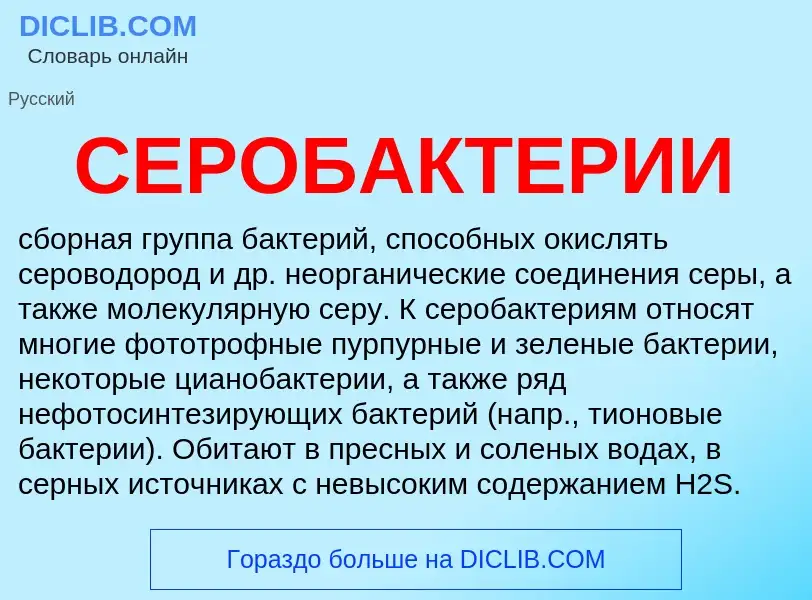 Wat is СЕРОБАКТЕРИИ - definition