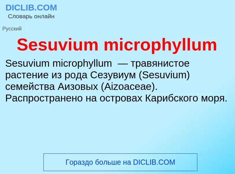 Che cos'è Sesuvium microphyllum - definizione