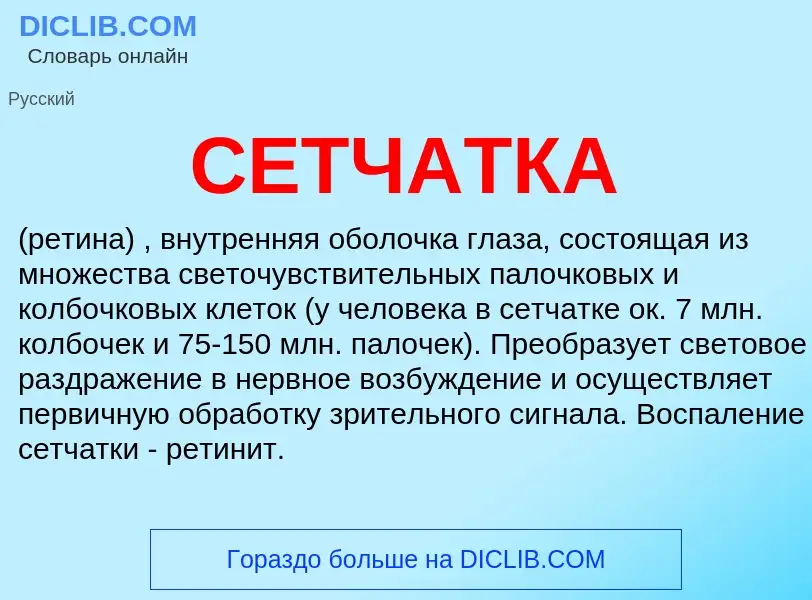 Что такое СЕТЧАТКА - определение