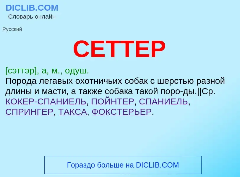 Wat is СЕТТЕР - definition