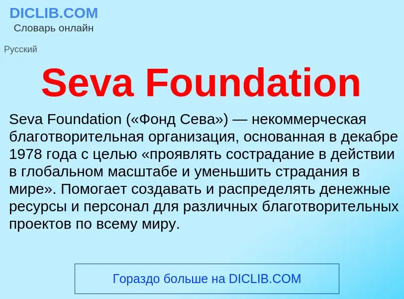 Che cos'è Seva Foundation - definizione