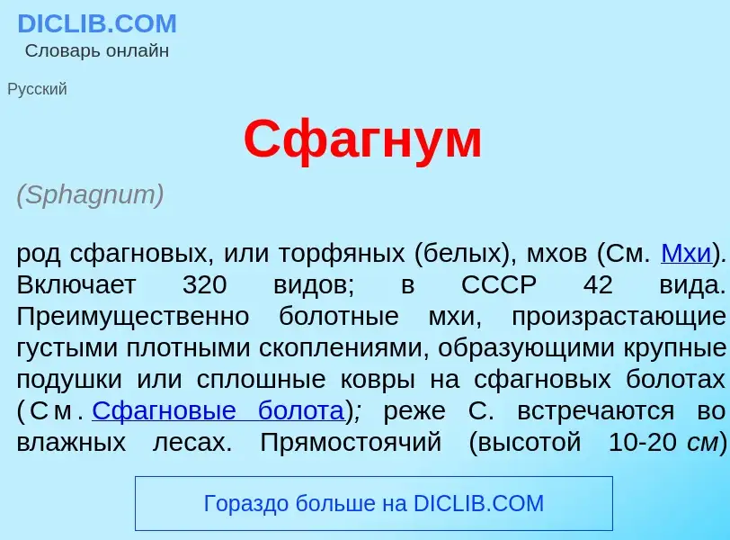 Что такое Сф<font color="red">а</font>гнум - определение